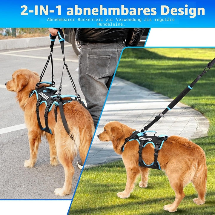 Hundeliftharnisch für grosse Rüden – 2-in-1 abnehmbares Hundetragegeschirr mit Hebegriffen für die H