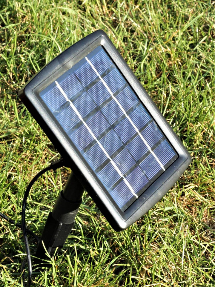 powershop11 Wasserspeier Drache Guss mit Solarpumpe