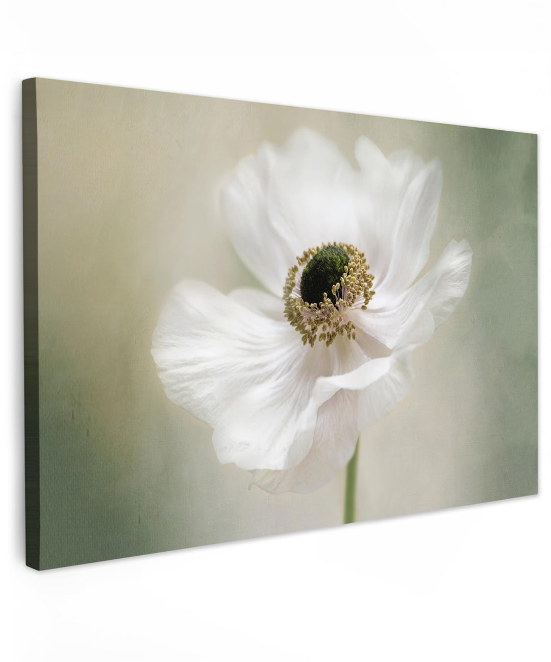 MuchoWow© Wandbilder Gross 120x80 cm XXL Wohnzimmer Wanddeko Blumen Leinwandbild Schlafzimmer Zimmer