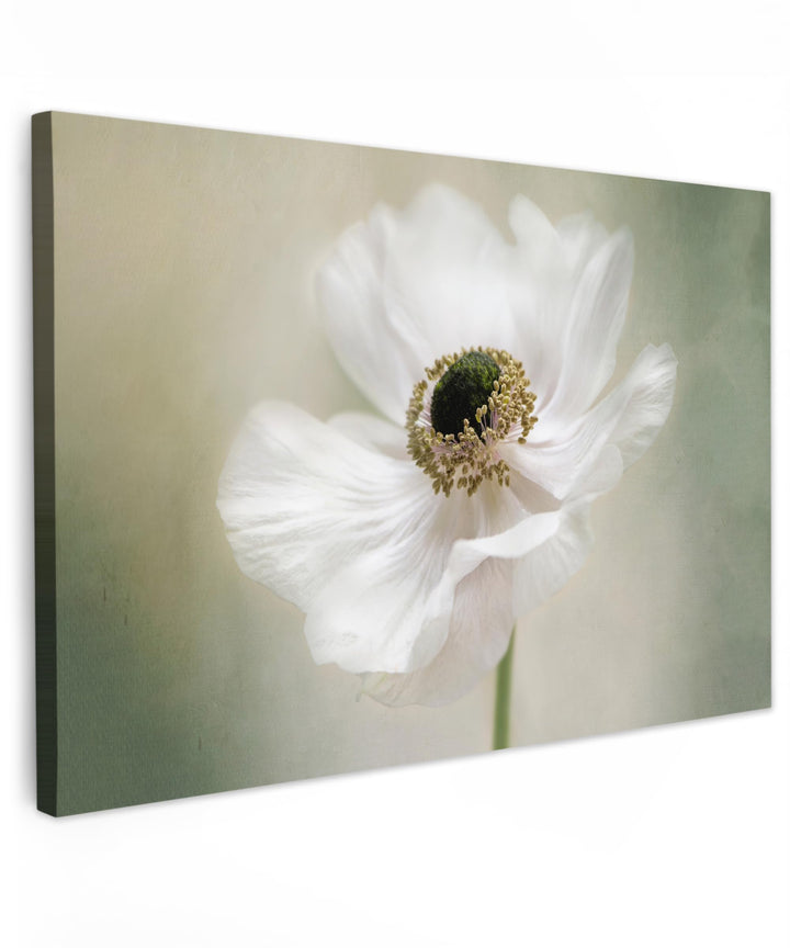MuchoWow© Wandbilder Gross 120x80 cm XXL Wohnzimmer Wanddeko Blumen Leinwandbild Schlafzimmer Zimmer