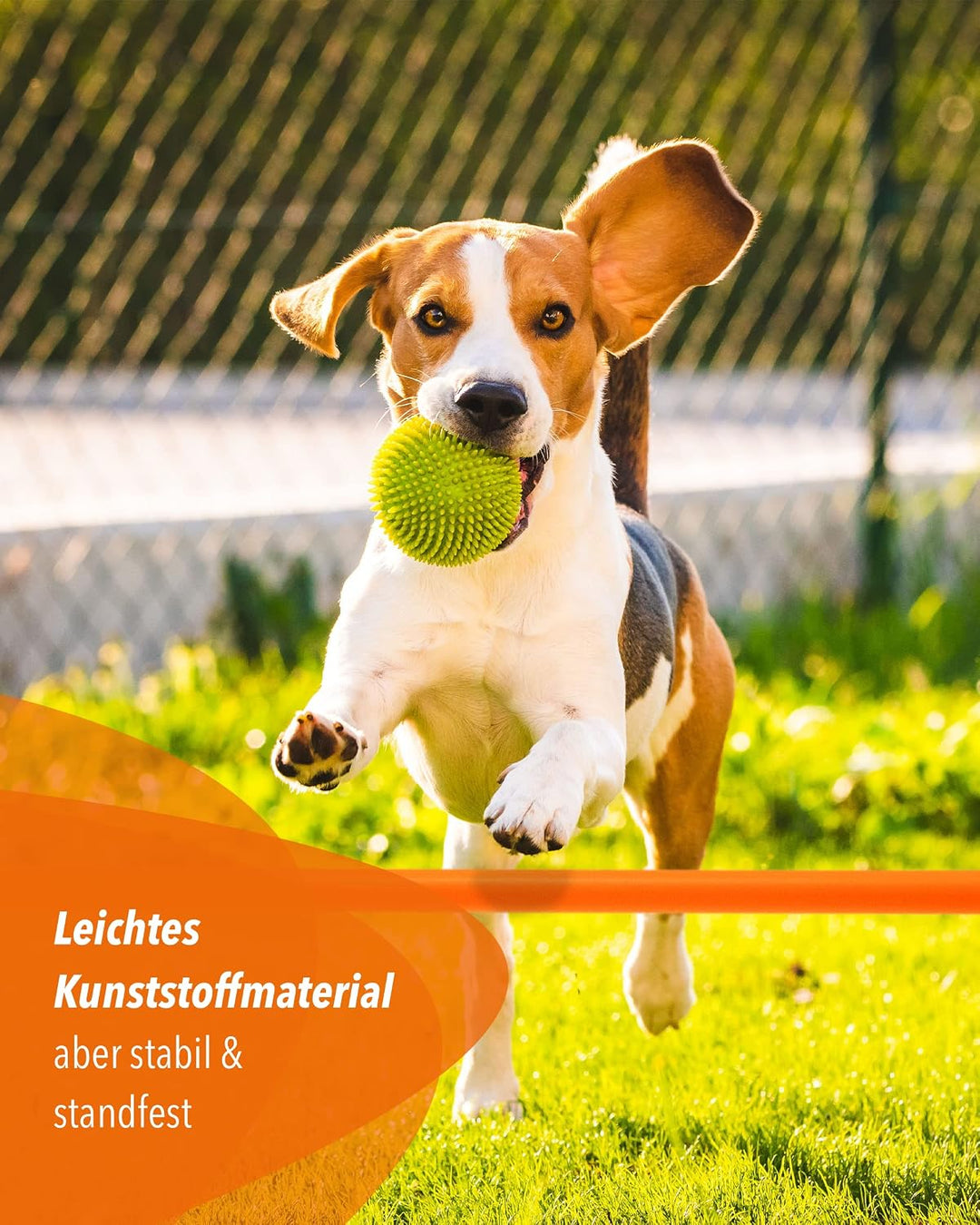 5 x Parcours-Hürde – Kegel-Hindernis für Agility Training – Steckhürden für Hund, Sport, Pferd &amp; Kin