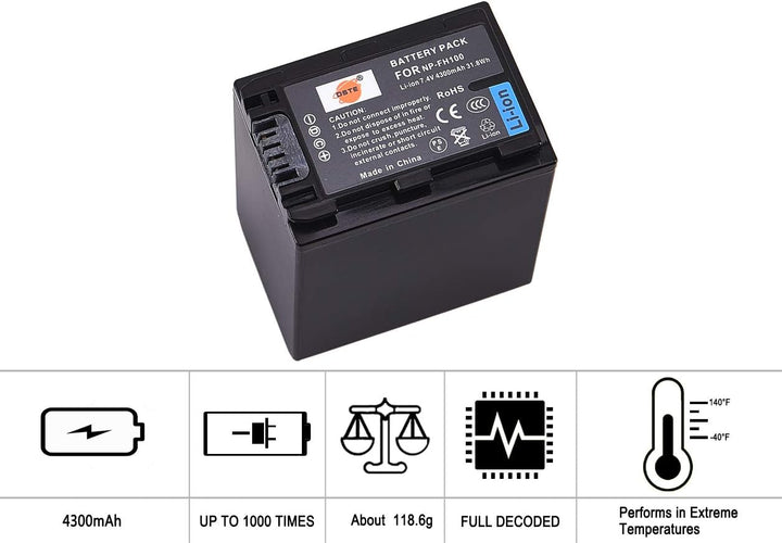 DSTE 2-Stück Ersatzakku Set NP-FH100 Batterie kompatibel mit Sony DCR-DVD103 DCR-DVD105 DCR-DVD105E