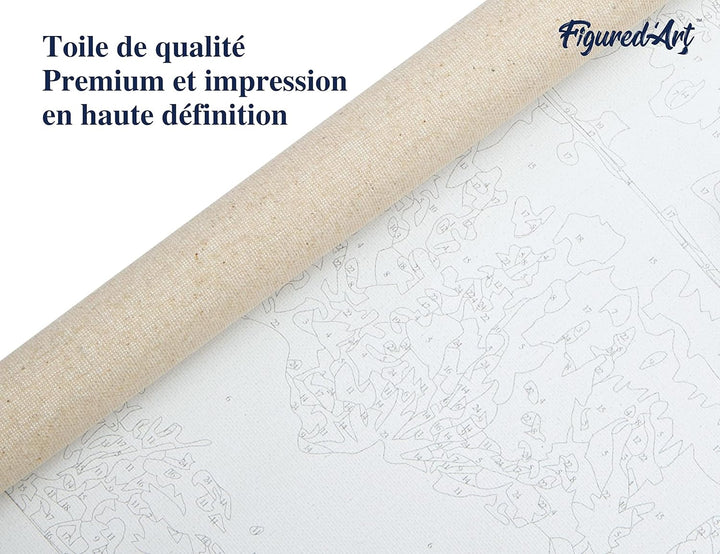 Figured'Art Malen Nach Zahlen Erwachsene Mit Rahmen Magnolie - Paint by Numbers Basteln DIY Bastelse