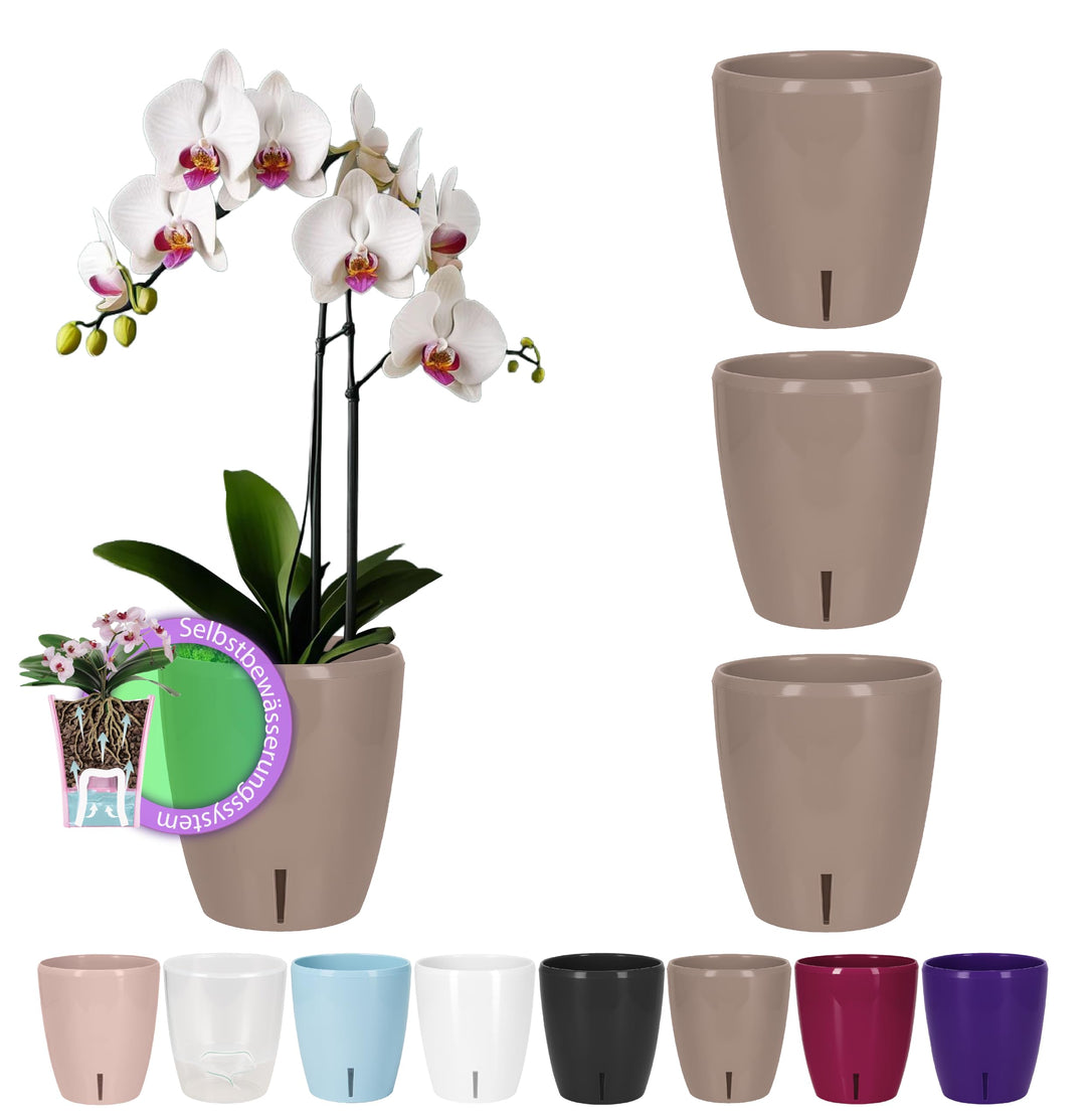 Santino 4er-Set Orchideentopf D 15cm Selbstbewässernder Topf mit Dochtsystem und Wasserstandsanzeige