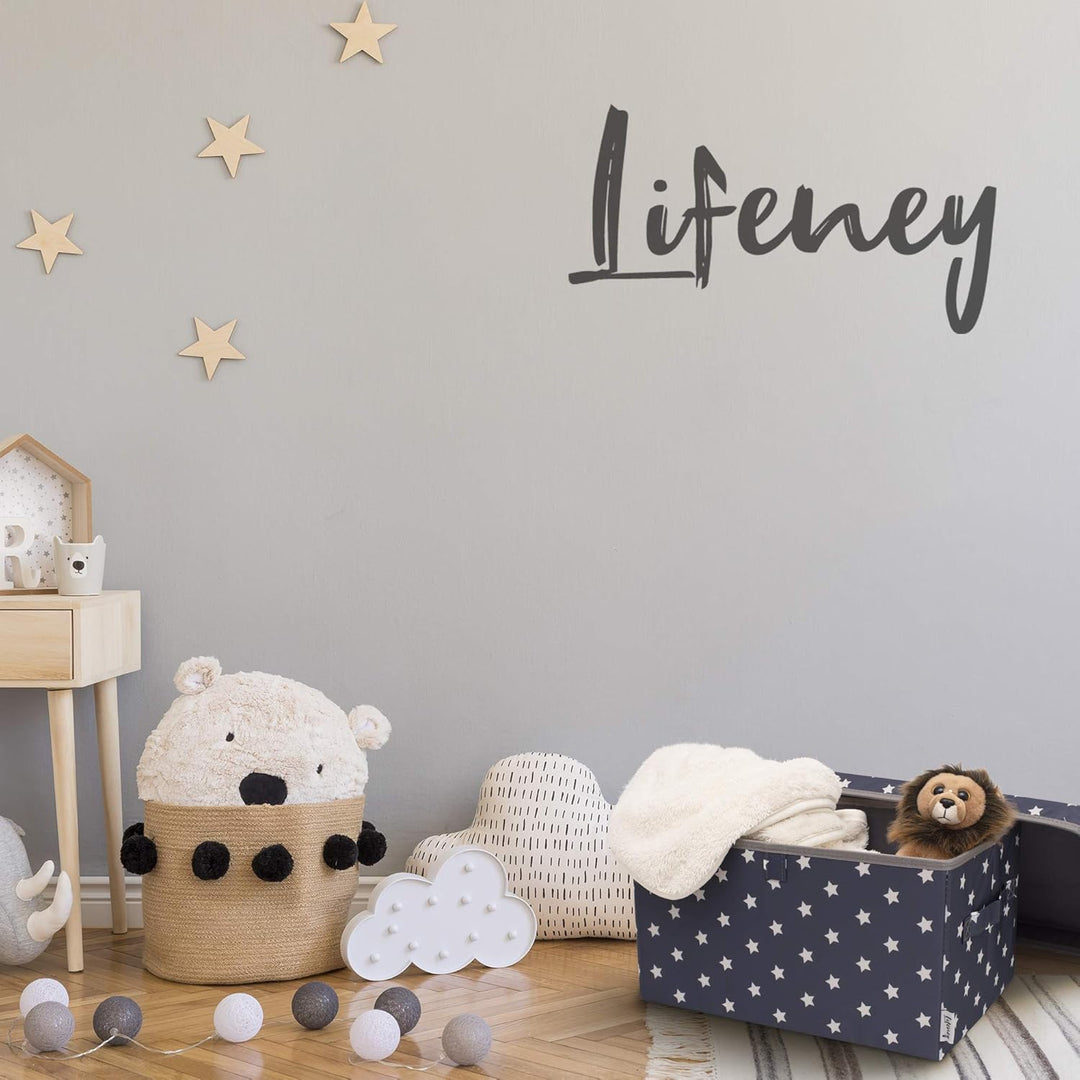 2-Set Aufbewahrungsbox Kinder (37x25x21cm) I Aufbewahrungskorb für Kinderzimmer und Wohnbereich I Ki