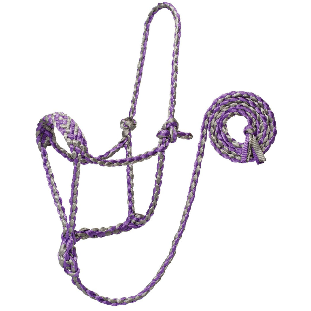 Weaver Leather Braided Rope Halter with 6' Lead, Average Führungsseil Average Horse Gray/Purple, Ave