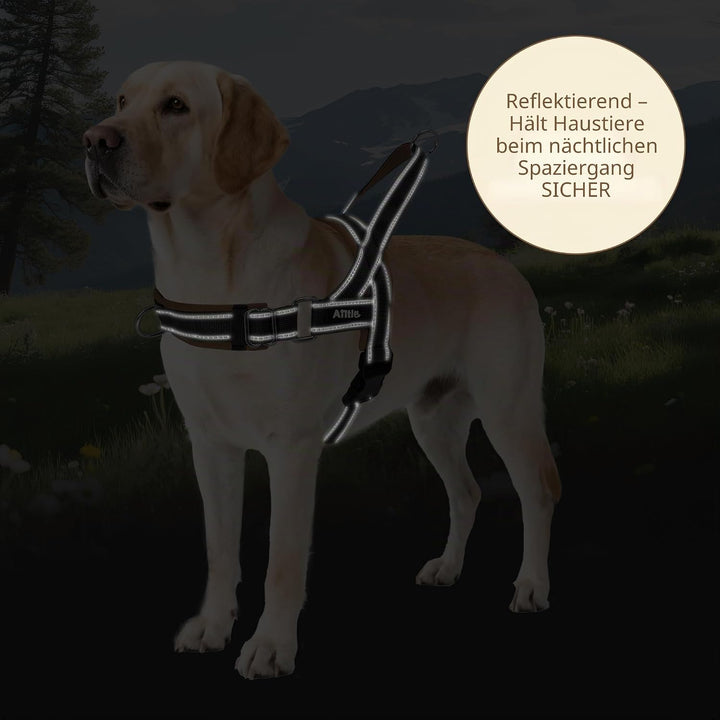 AIITLE Verbessertes Anti-Zug-Hundegeschirr mit weich gepolstertem Griff, Reflektorstreifen und Schne