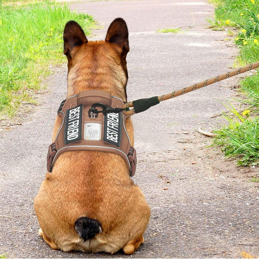 Haapaw Heavy Duty Taktisches Hundegeschirr für mittelgrosse Hunde, kein Zug Verstellbares Haustierge