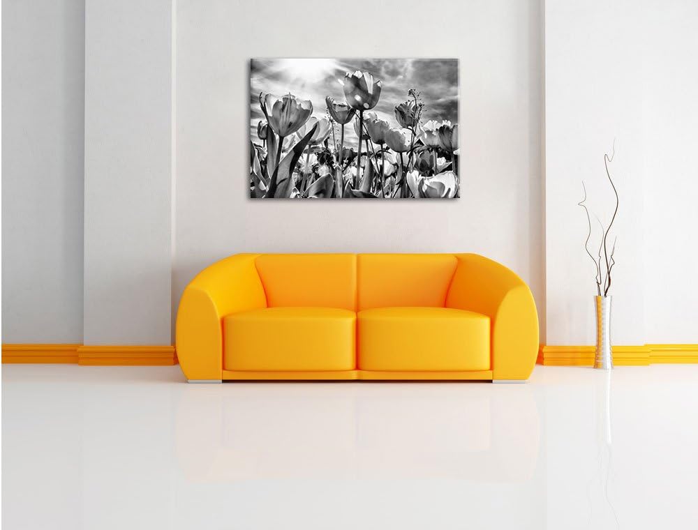 Pixxprint Blumenwiese / 100x70cm Leinwandbild bespannt auf Holzrahmen/Wandbild Kunstdruck Dekoration