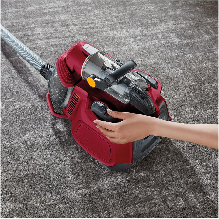 AEG LX7-2-CR-A Staubsauger beutellos / ideal für Haustierbesitzer / Zusatzdüsen + Spezialdüsen-Set f
