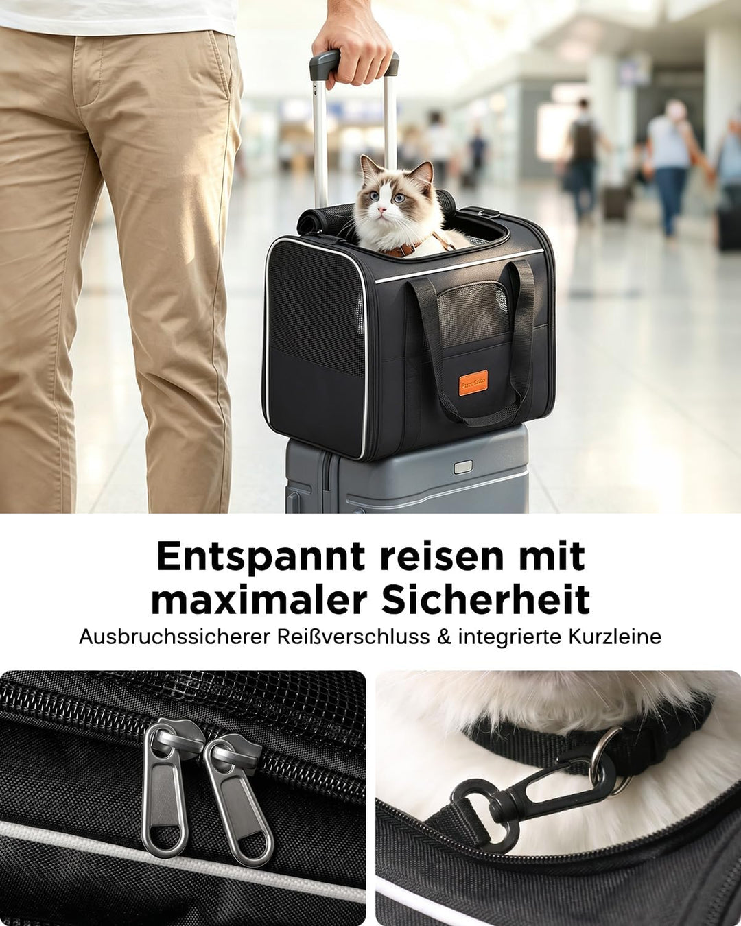 Katzentransporttasche faltbar bis 10 kg – Stabile Transportbox für Katzen &amp; kleine Hunde mit Stahlra