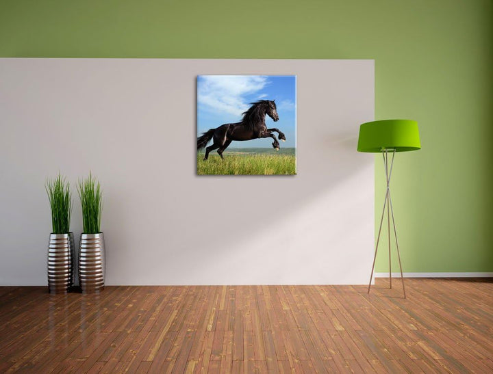 Pixxprint Schwarzer Hengst auf grünen Wiese als Leinwandbild/Grösse: 70x70 cm/Wandbild/Kunstdruck/fe