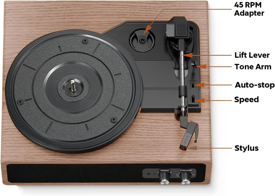 Plattenspieler, FYDEE Vinyl Plattenspieler mit Eingebauten Stereo-Lautsprechern, 3 Geschwindigkeiten