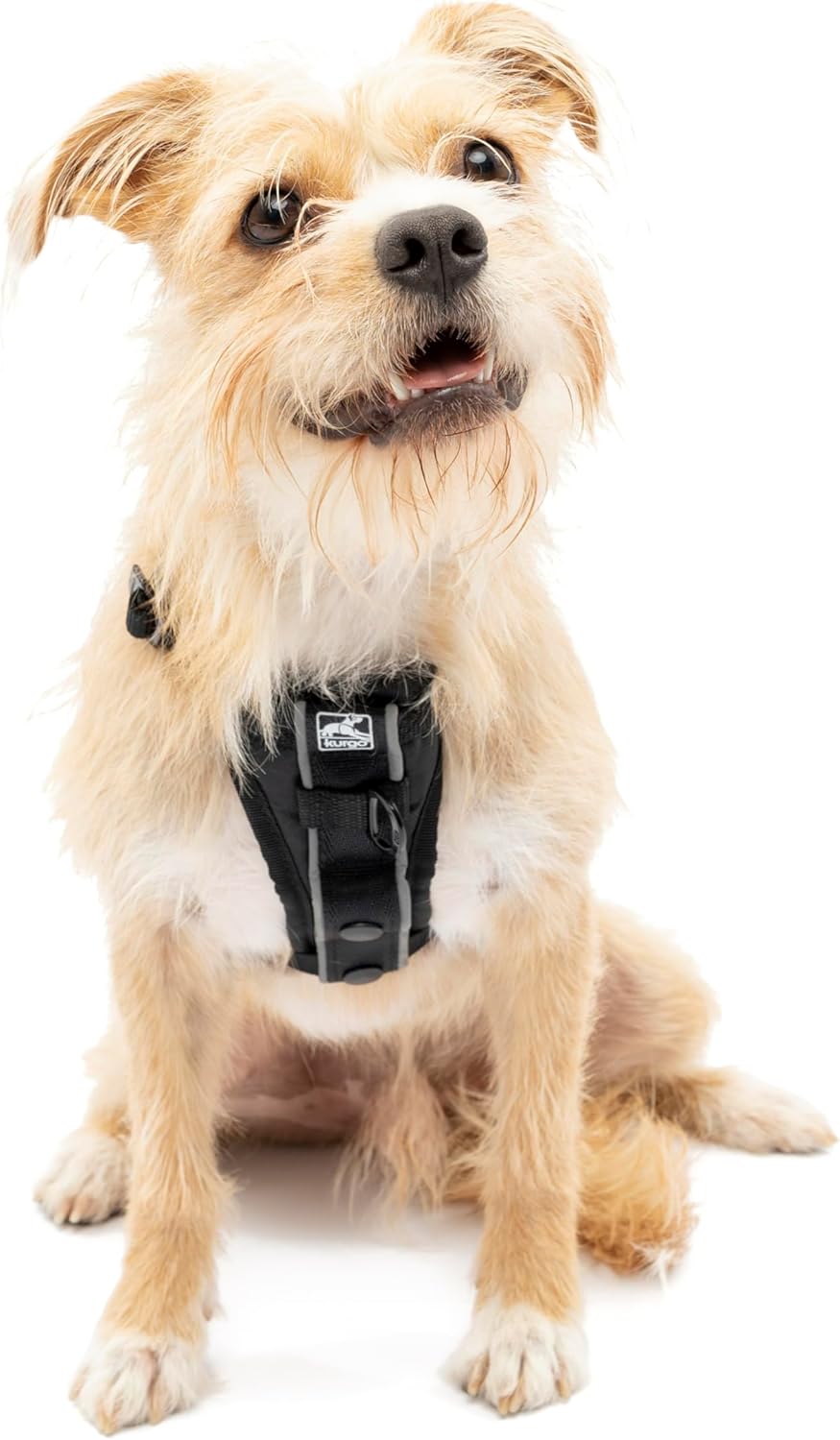 Kurgo Tru-Fit Smart Hundegeschirr, Mit gepolstertem Brustteil und D-Ring, Inklusive Autosicherheitsg