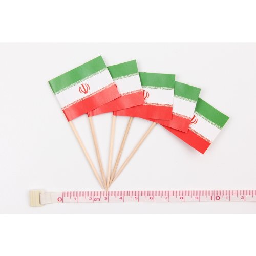 Everflag Zahnstocher : Iran 1000er Packung, 1000er Packung
