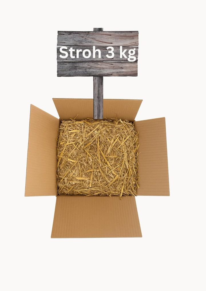 Gerstenstroh 3 kg - für Kaninchen, Meerschweinchen, Pferde | Premiumqualität | Ernte 2025