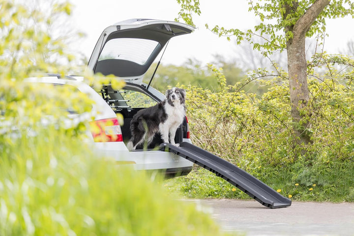 Trixie 3939 Klapp-Rampe Petwalk, 40 × 156 cm, 4,5 kg, schwarz 1 Stück (1er Pack)