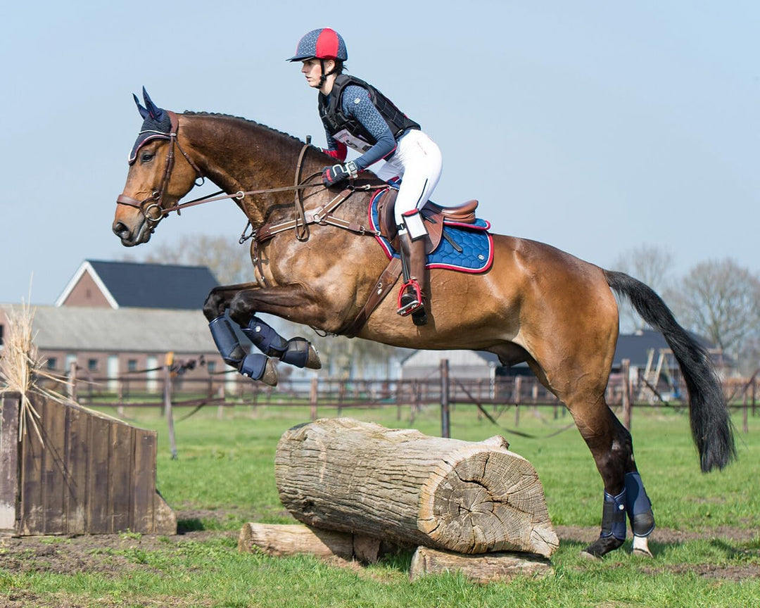 QHP Q-Cross Eventing Gamaschen hinten, Grösse:L, Farbe:Navy Large Navy, Large Navy