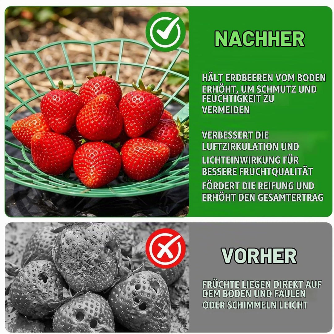 20 Stück Erdbeerstützen Ständer, Erdbeeren Schutz, Erdbeerreifer Erdbeerregal Abnehmbares Pflanzenre