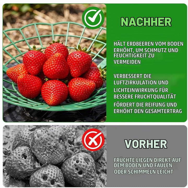 20 Stück Erdbeerstützen Ständer, Erdbeeren Schutz, Erdbeerreifer Erdbeerregal Abnehmbares Pflanzenre