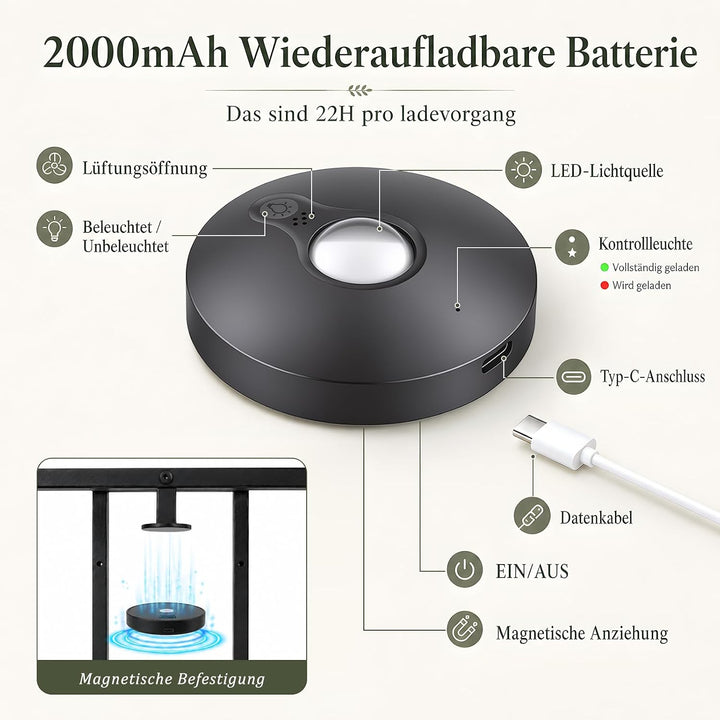 Wandbehang Pflanzgefässe mit Wachstumslicht 2 Set, Blumentopf Wand mit Metallrahmen und Fernbedienun