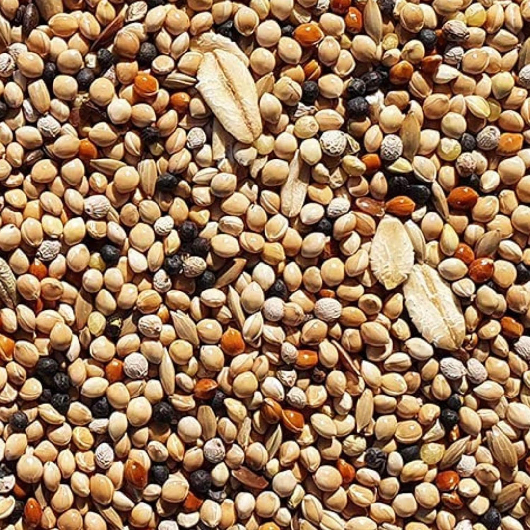 SUPRAVIT Wachtelfutter 25kg | Vollwertige Körnermischung für Wachteln, Legewachteln und Hühner als A