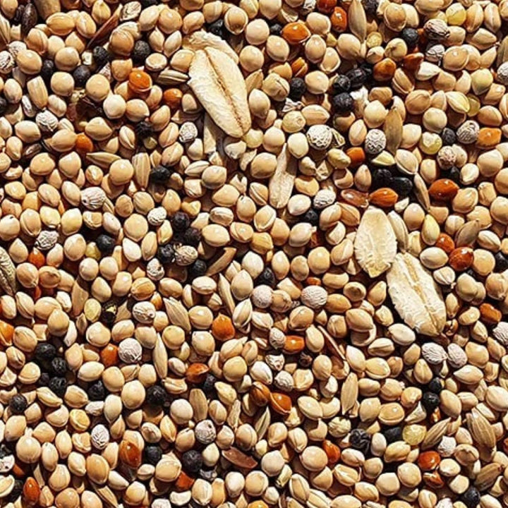 SUPRAVIT Wachtelfutter 25kg | Vollwertige Körnermischung für Wachteln, Legewachteln und Hühner als A