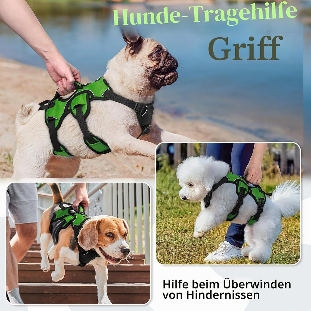 rabbitgoo Ausbruchsichere Hundegeschirr Kleine Hunde mit Griff, Anti Zug Sicherheitsgeschirr Hund At