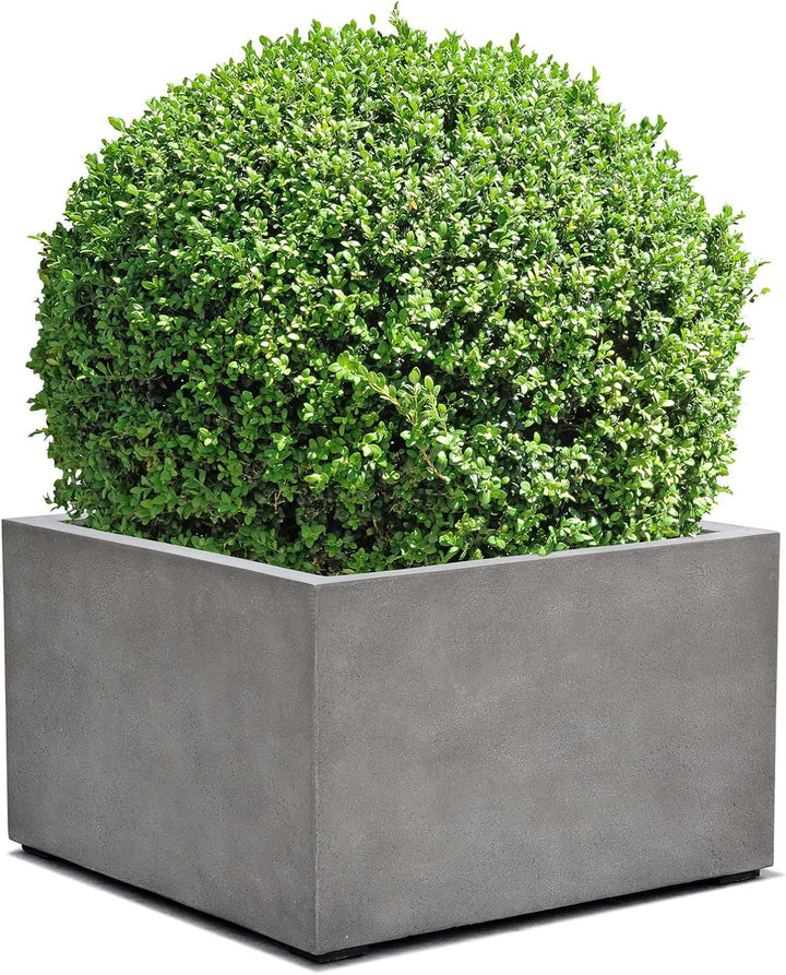 ESCHBACH® Pflanzkübel Low Cube 80 Beton Grau Quadratisch XL * 80 x 80 x 60 cm * 10 Jahre Garantie 80