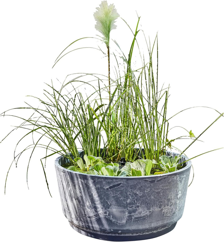 Heissner Solar Wassergarten AQUATOPIA inkl. Wasserspielpumpe - Miniteich, Dekoteich, Balkonteich