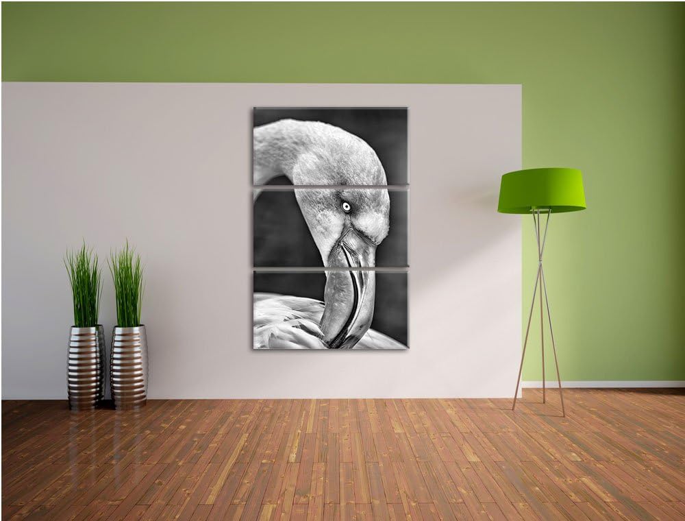 Pixxprint Flamingo beim Putzen als Leinwandbild/Grösse: 3 Teilig (120x80) cm/Wandbild/Kunstdruck/fer