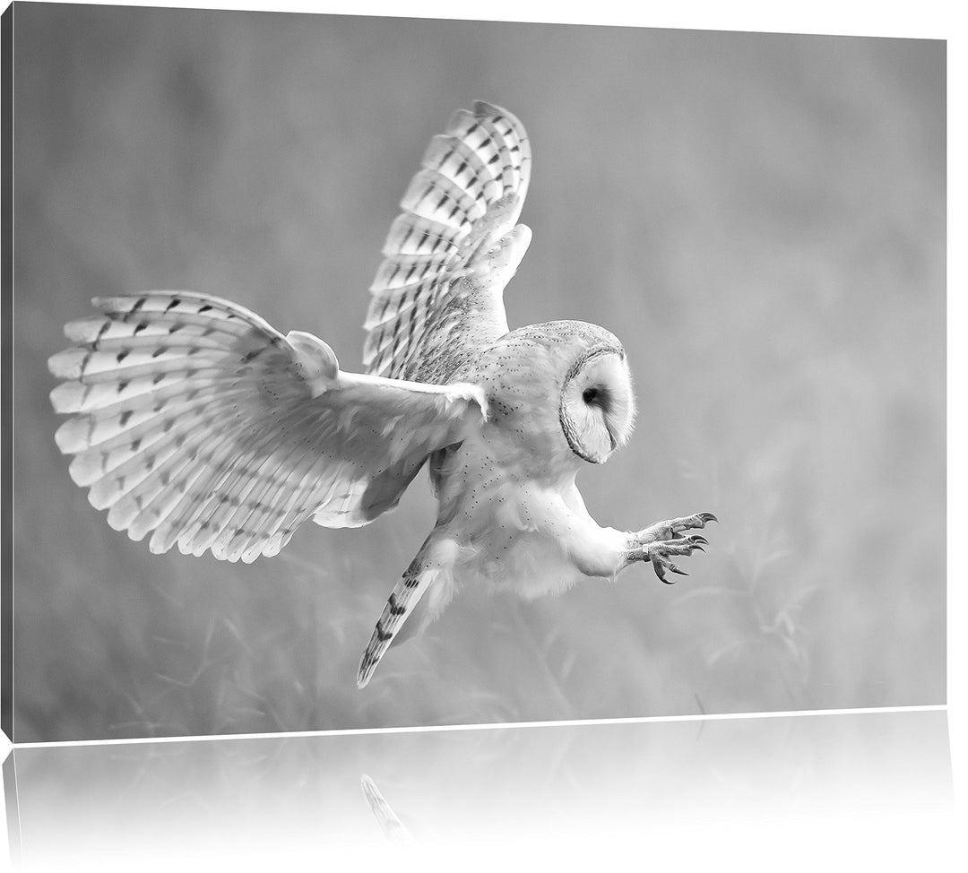 Pixxprint Fliegende Eule bei der Jagd / 100x70cm Leinwandbild bespannt auf Holzrahmen/Wandbild Kunst