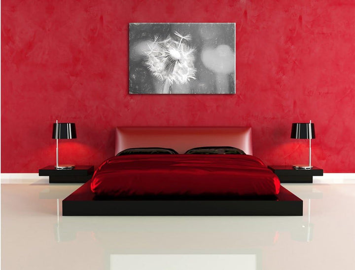 Pixxprint Schöner weisser Löwenzahn Kunst Kohle Effekt, Format: 100x70 auf Leinwand, XXL riesige Bil