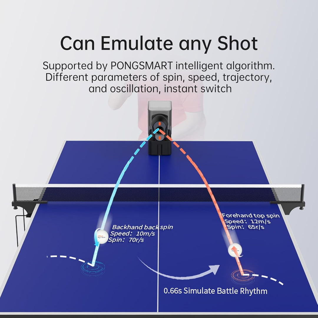 Table Tennis Robot