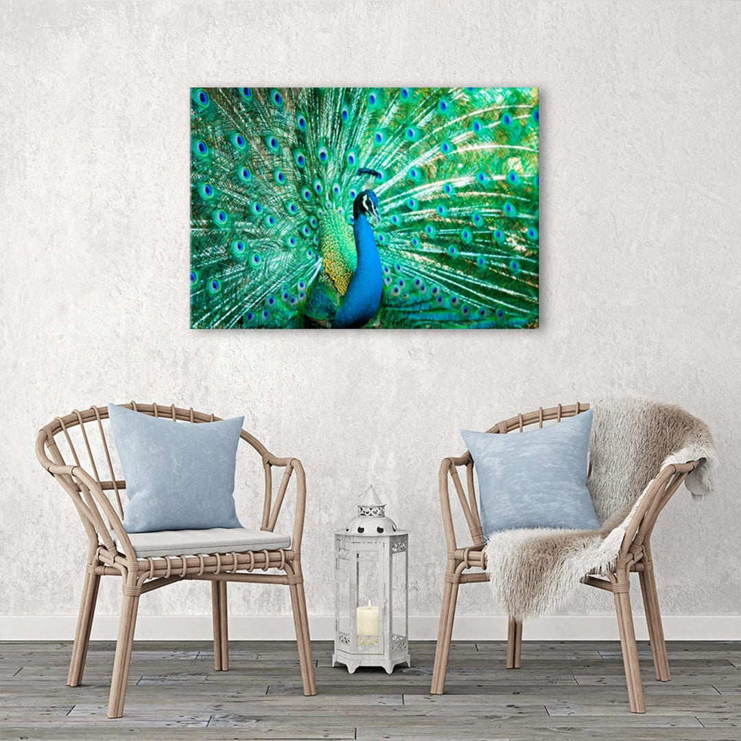 Feeby Wanddeko Pfau Leinwandbild Kunstdruck Tier Blau 60x40 cm M_8717 60x40 cm, M_8717 60x40 cm