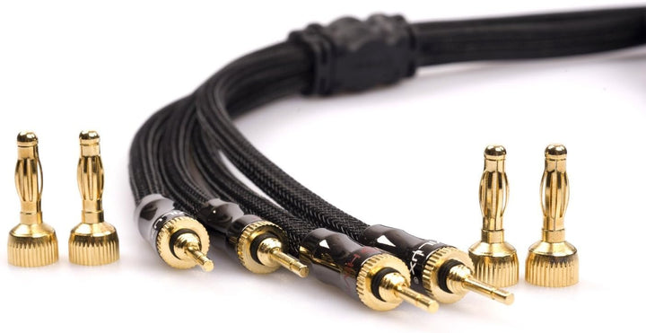 HiViLux Highend Lautsprecher LS 2xKabel OFC trennbar Bananenstecker für HiFi Stereo Paar 2x Kanal (B