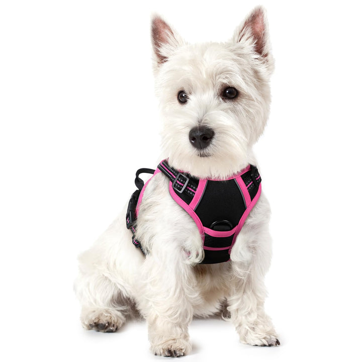 rabbitgoo Hundegeschirr Mittelgrosse Hunde, Anti Zug Geschirr mit Kontrolle, No Pull Verstellbar Hun