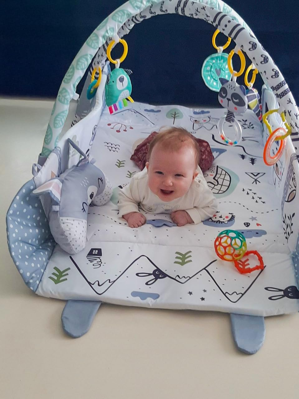 Multifunktionale Baby Spieldecke mit Spielbogen – Baby Gym Spielmatte & Krabbeldecke – inkl. 30 Bäll