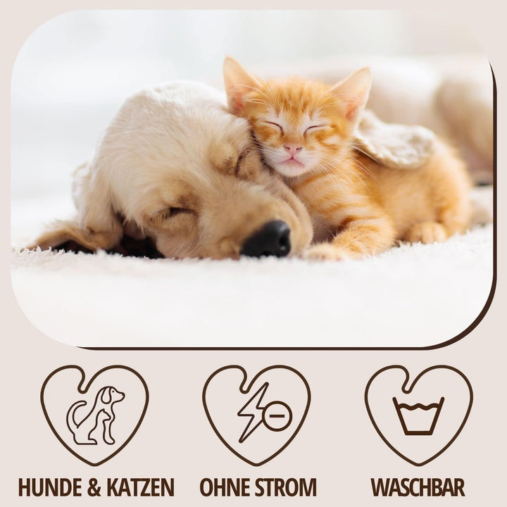 PetLove Thermal Selbstwärmende Decke für Hunde & Katzen • Wärmende Hundedecke und Katzendecke • Selb