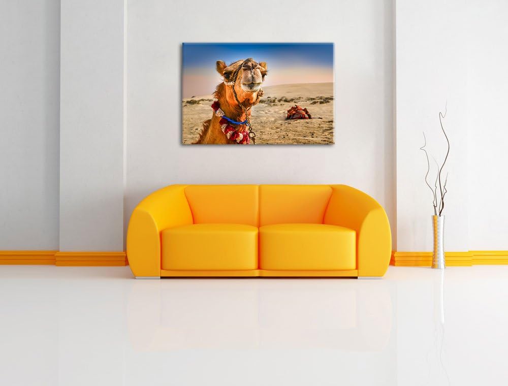 Lustiges Kamel in Wüste Format: 100x70 auf Leinwand, XXL riesige Bilder fertig gerahmt mit Keilrahme
