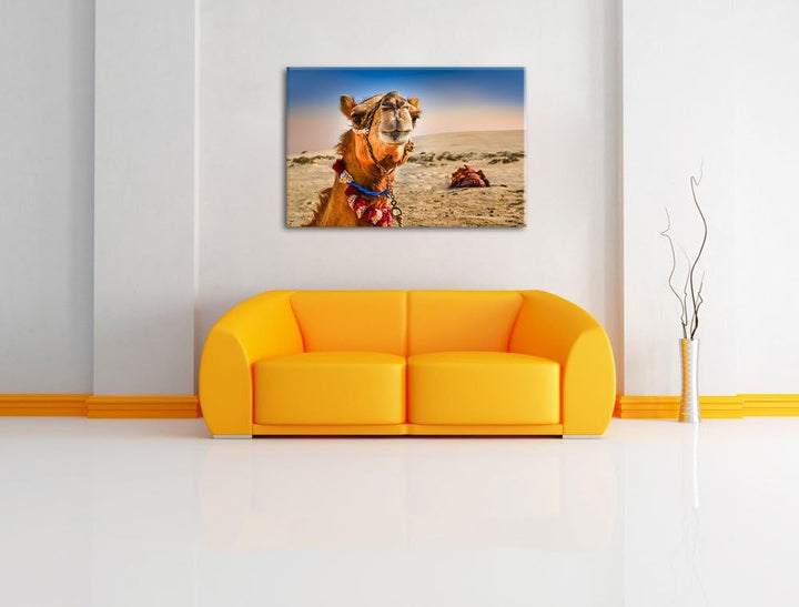 Lustiges Kamel in Wüste Format: 100x70 auf Leinwand, XXL riesige Bilder fertig gerahmt mit Keilrahme