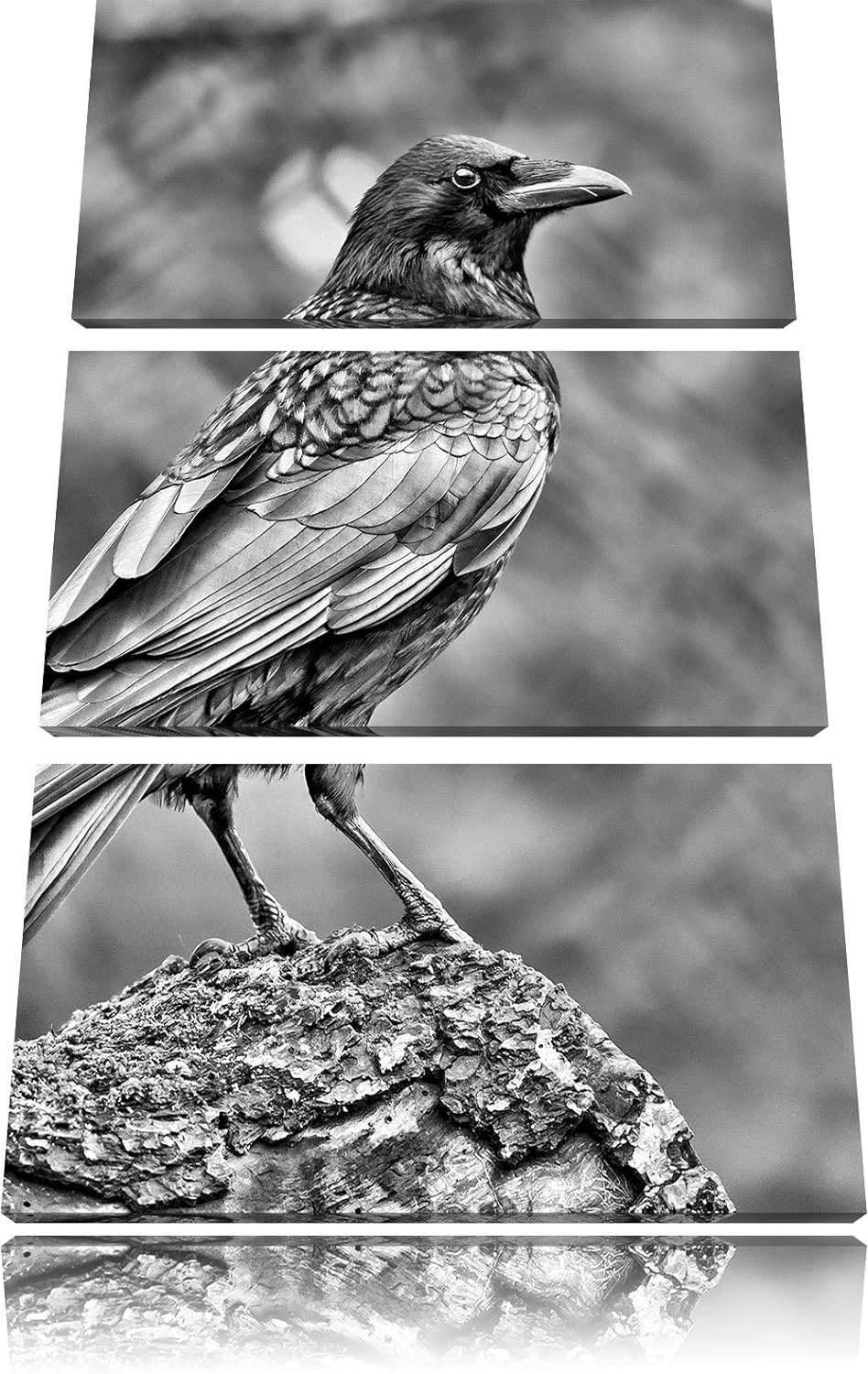 Pixxprint Krähe auf Baumstamm als Leinwandbild/Grösse: 3 Teilig (120x80 cm) cm/Wandbild/Kunstdruck/f