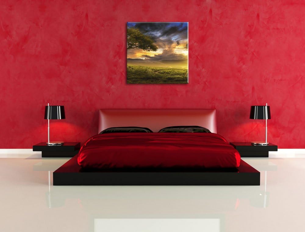 Einsamer Baum schwarz weiss, Format: 70x70 auf Leinwand, XXL riesige Bilder fertig gerahmt mit Keilr