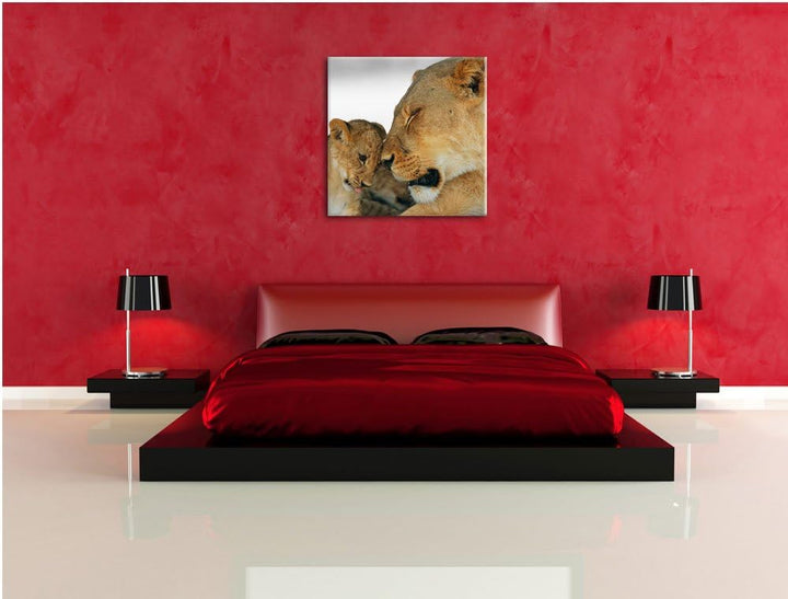 Pixxprint Löwenmutter schmusend mit Junges als Leinwandbild/Grösse: 70x70 cm/Wandbild/Kunstdruck/fer