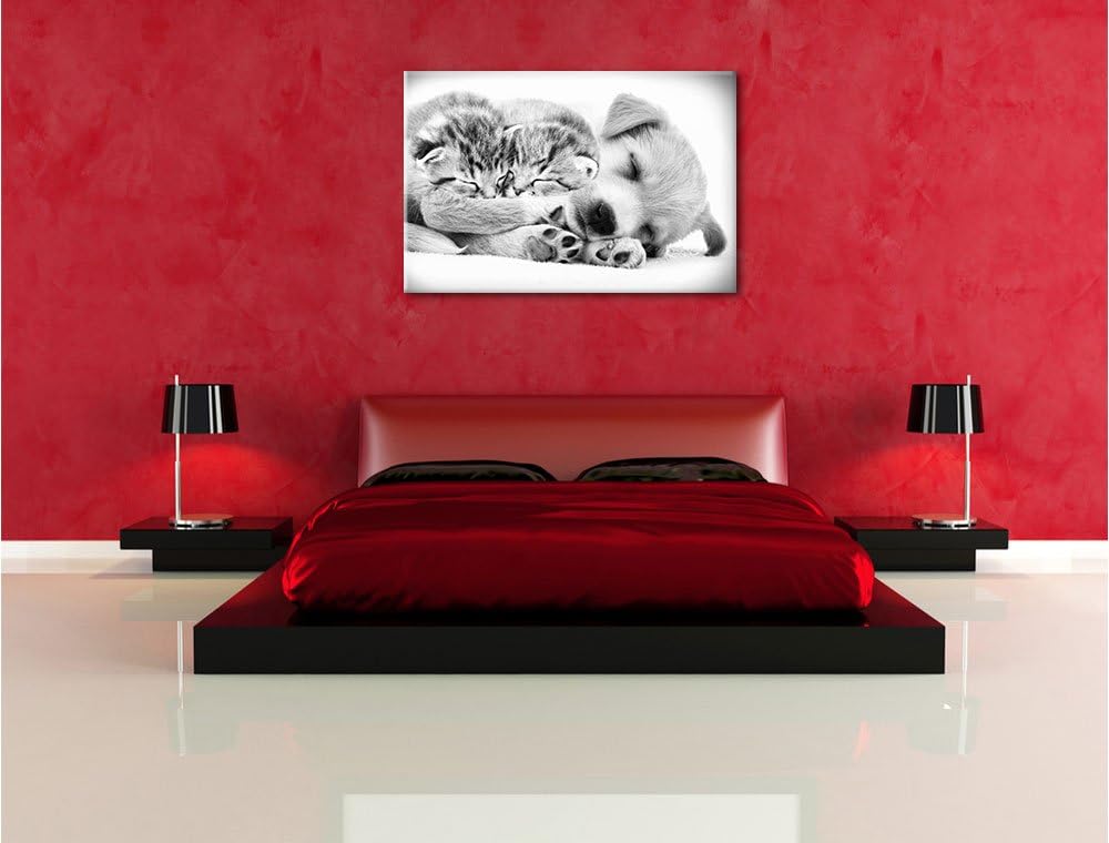 Pixxprint Hundewelpe mit kleinen Kätzchen als Leinwandbild/Grösse: 100x70 cm/Wandbild/Kunstdruck/fer
