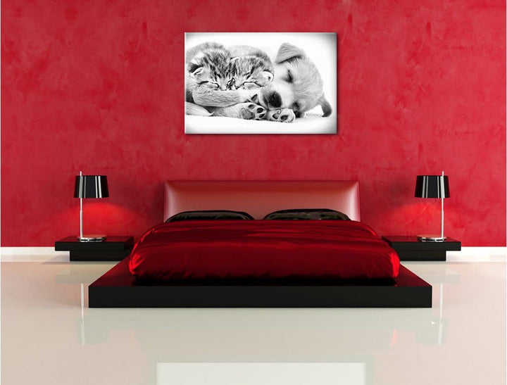 Pixxprint Hundewelpe mit kleinen Kätzchen als Leinwandbild/Grösse: 100x70 cm/Wandbild/Kunstdruck/fer
