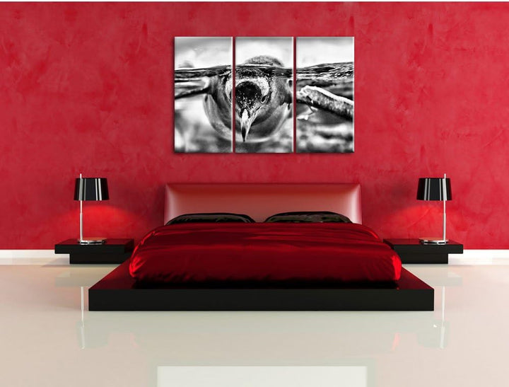 Monocrome, Pinguin im Wasser 3-Teiler Leinwandbild 120x80 Bild auf Leinwand