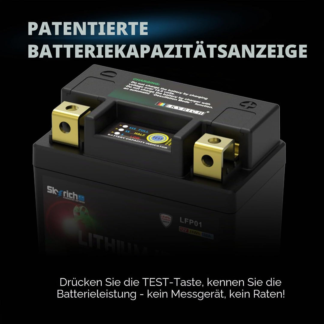 Skyrich Lithium Ion LTKTM04L ohne Pflege