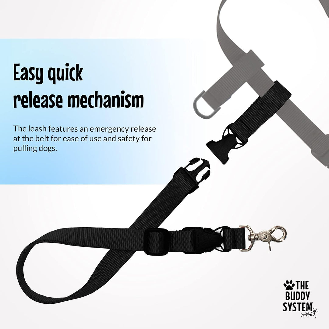 The Buddy System Made in USA Adjustable Hands Free Leash, Great for Running, Regular Dog System, Reg