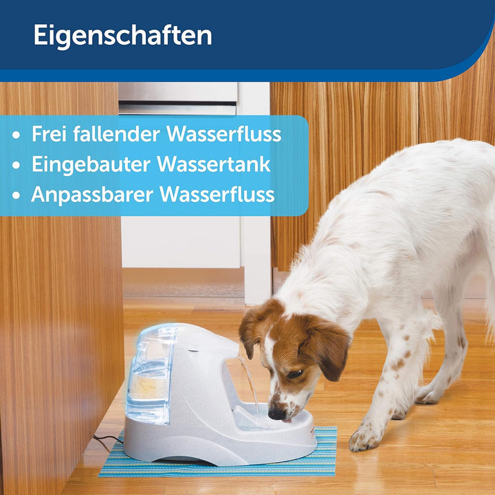 PetSafe - Drinkwell Platinum Wasserbrunnen für Hunde und Katzen, 5 l, Wasserspender für Haustiere, e